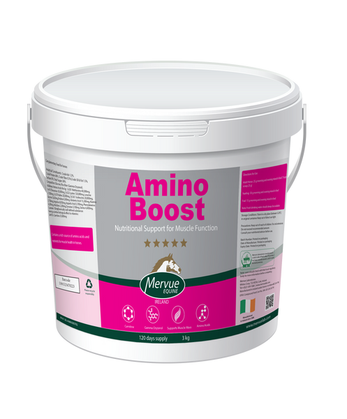 AminoBoost 3kg