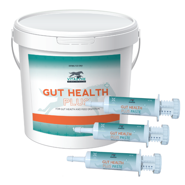 Gut Health Plus Pellets & Paste Combo